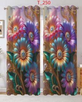 Door Curtains
