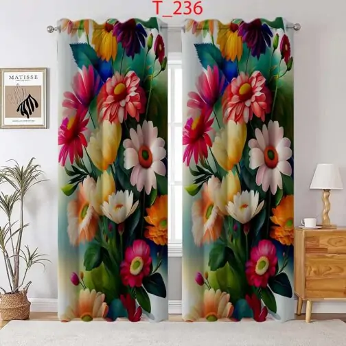 Door Curtains