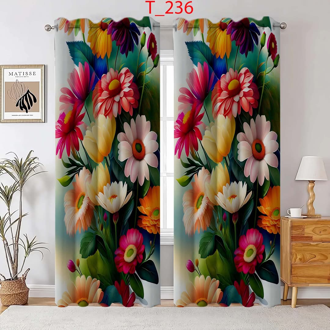 Door Curtains